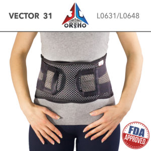 VECTOR 31